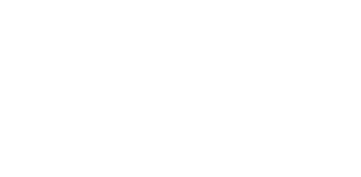 TOSHI logo
